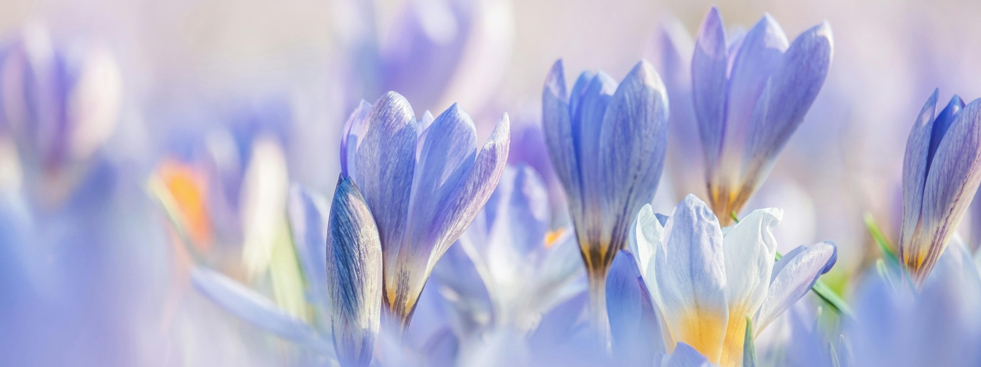 SERMONS*Catch up on recent teaching*LISTEN HERE