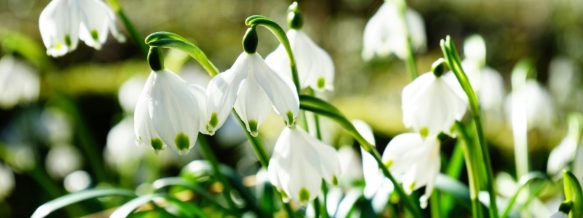 WELCOME*We're glad you're here*ABOUT US