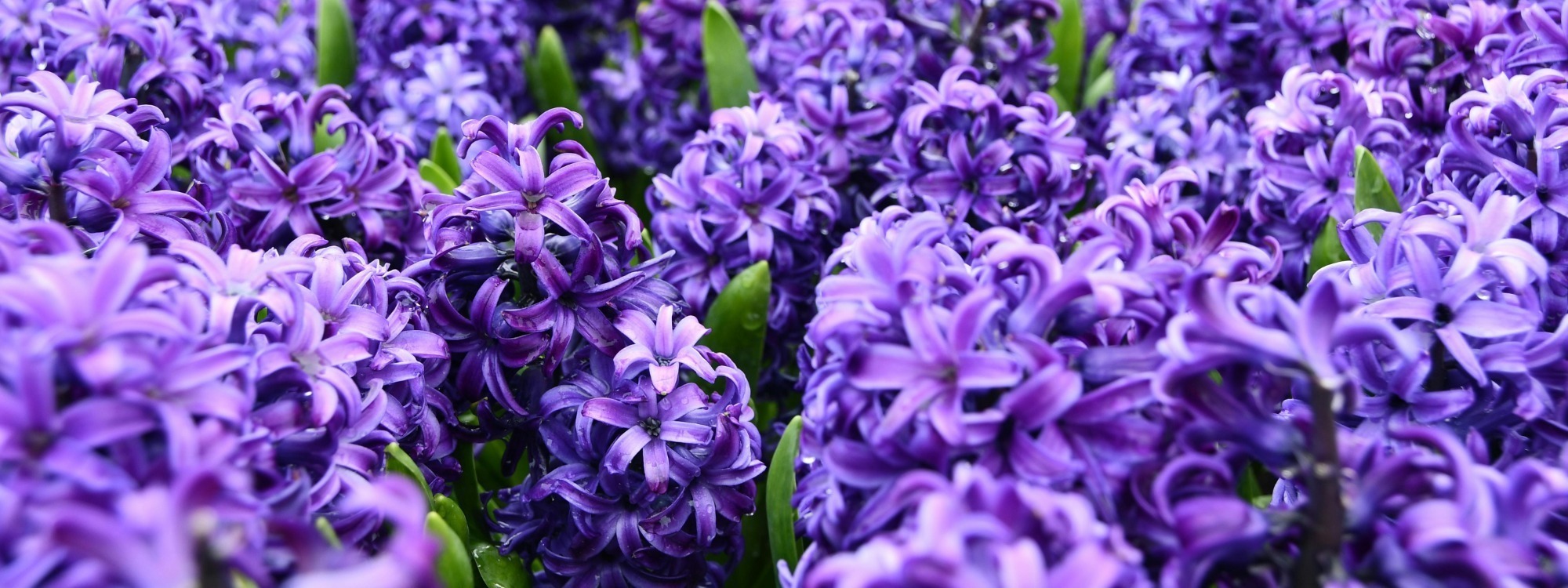 SERMONS*Catch up on recent teaching*LISTEN HERE