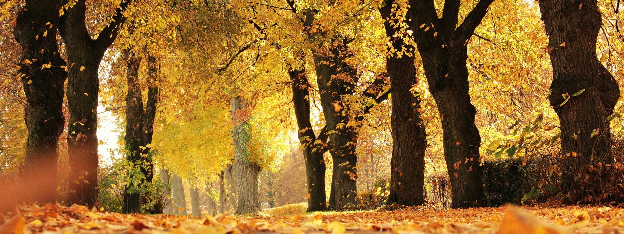 SERMONS*Catch up on recent teaching*LISTEN HERE