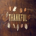 A year of thanksgiving
