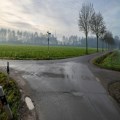 The Crossroad of Life